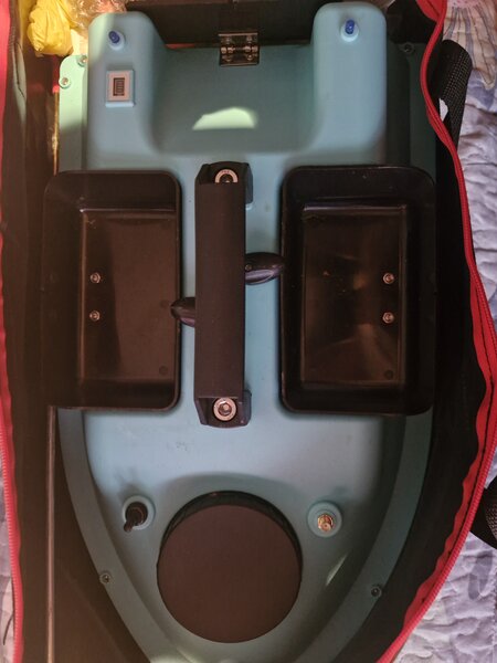 Barcuta momit, plantat